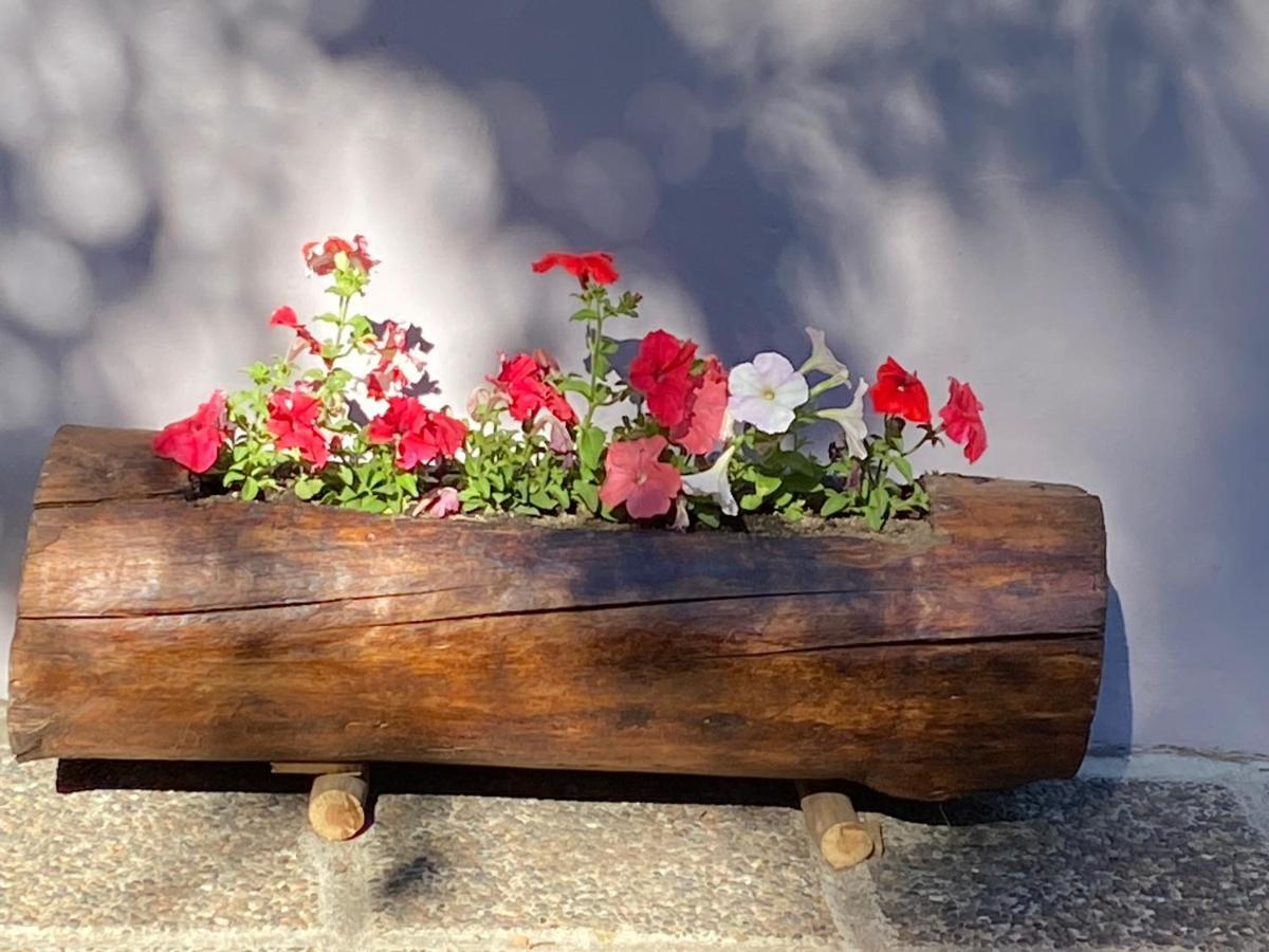 La Casita De Maby San Martin de los Andes